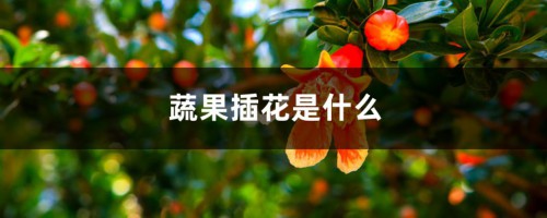 蔬果插花是什么